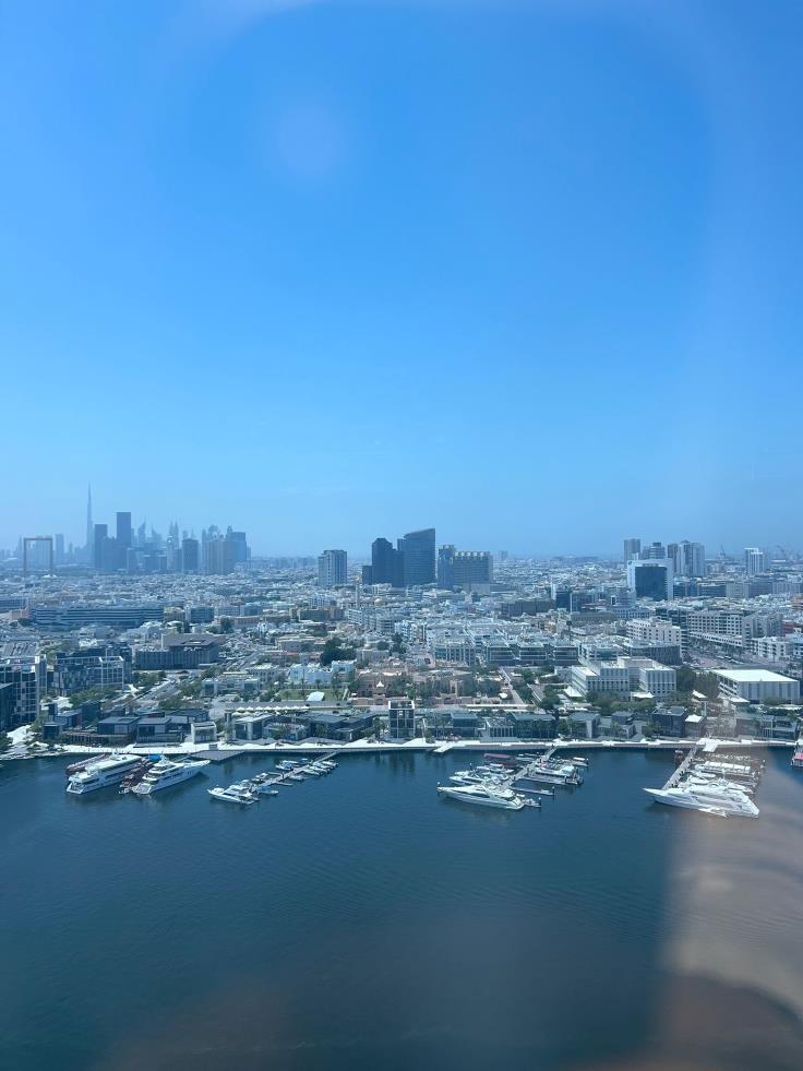 Palmeraie de Dubaï - ESG Finance Palmeraie de Dubaï - ESG Finance