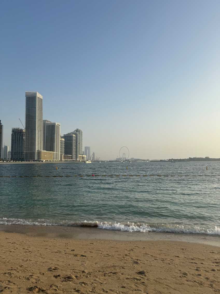 Palmeraie de Dubaï - ESG Finance Plage de Dubaï - ESG Finance